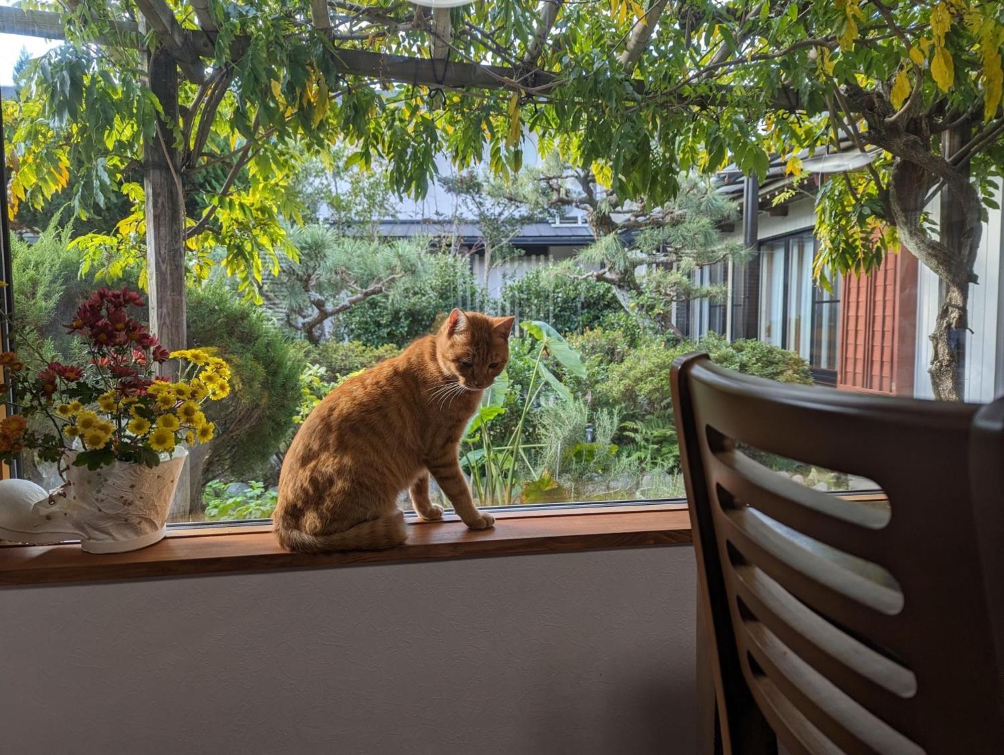 Guest House Ki-Zu - Vacation Stay 94978V Nishio Экстерьер фото
